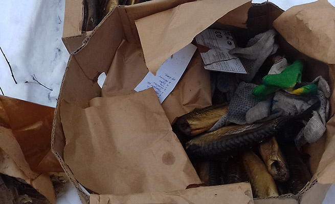 Природоохранная инспекция ищет структуру регулярно сбрасывающую мусор в лесопарковой зоне Кисилевичей
