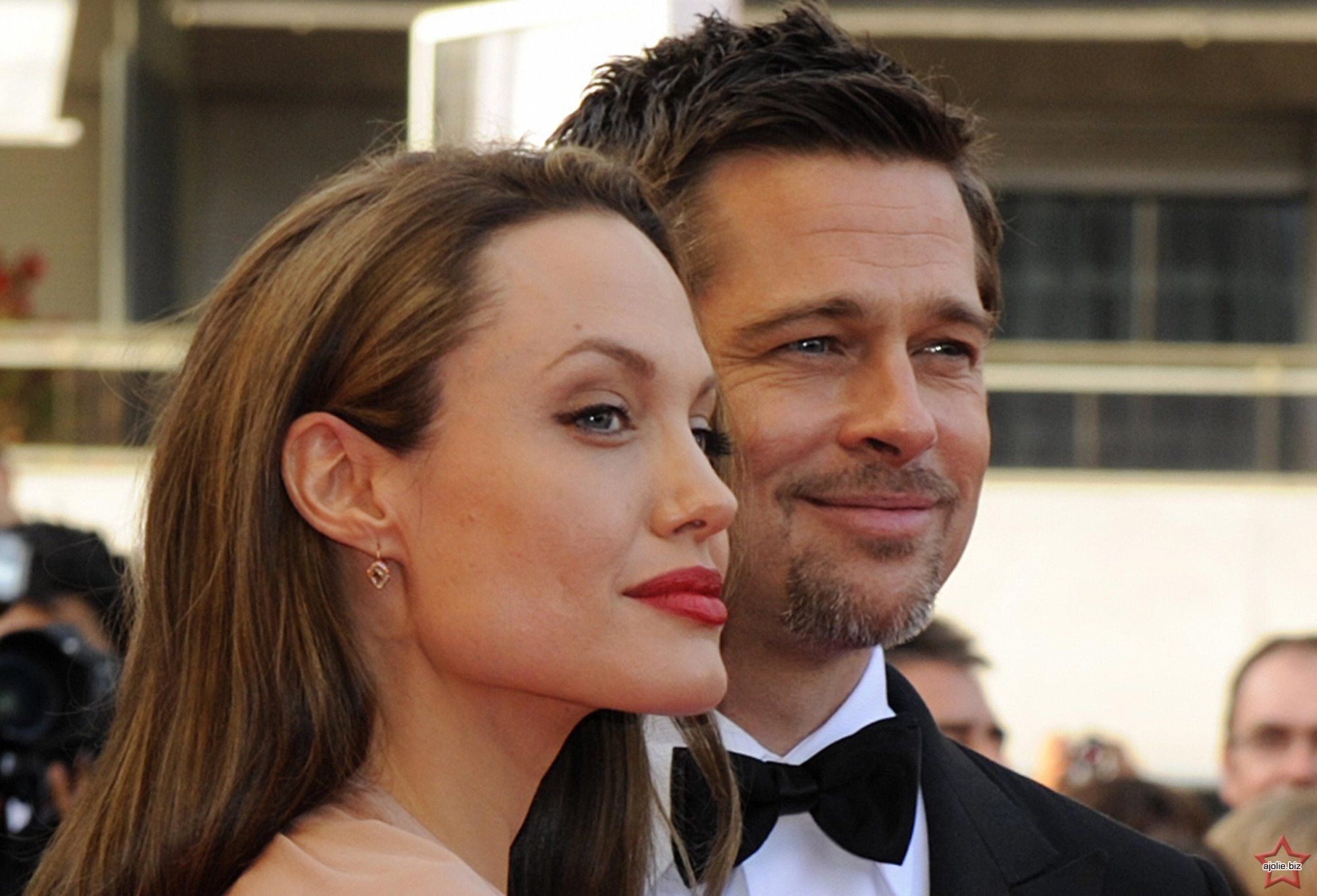 Анджелина Джоли потратила миллионы евро на новый дом