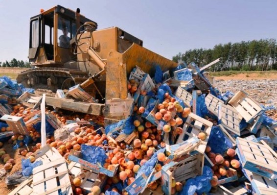 В России уничтожено 76 тонн продуктов, прибывших из Беларуси