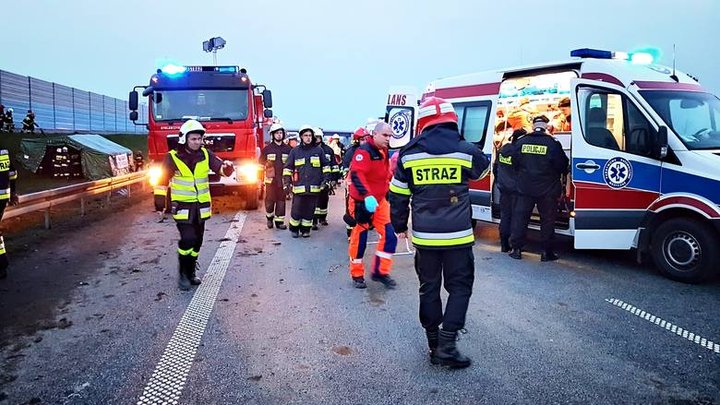 В Польше автобус с белорусами вылетел в кювет, 18 человек пострадали