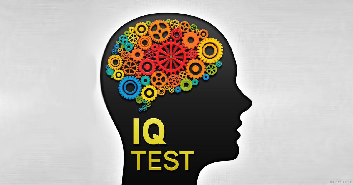 IQ-
