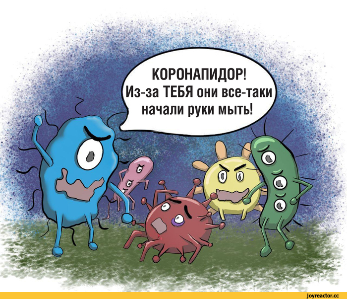 Приколы про коронавирус 2020 - мемы и картинки с надписями про COVID-19