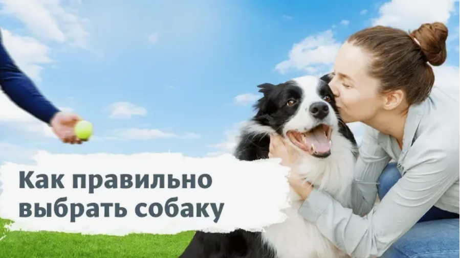 ��� �� ��������� � ������� ������