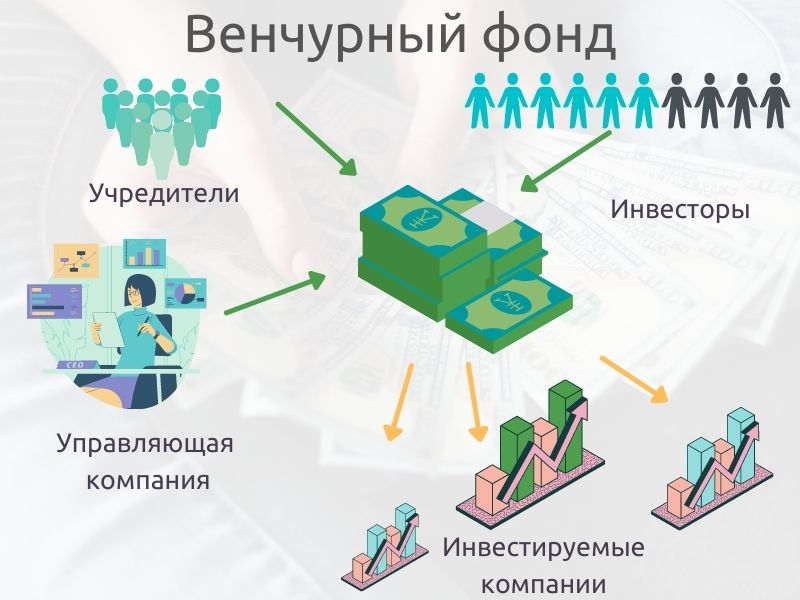 AMCH � ��������� ����������